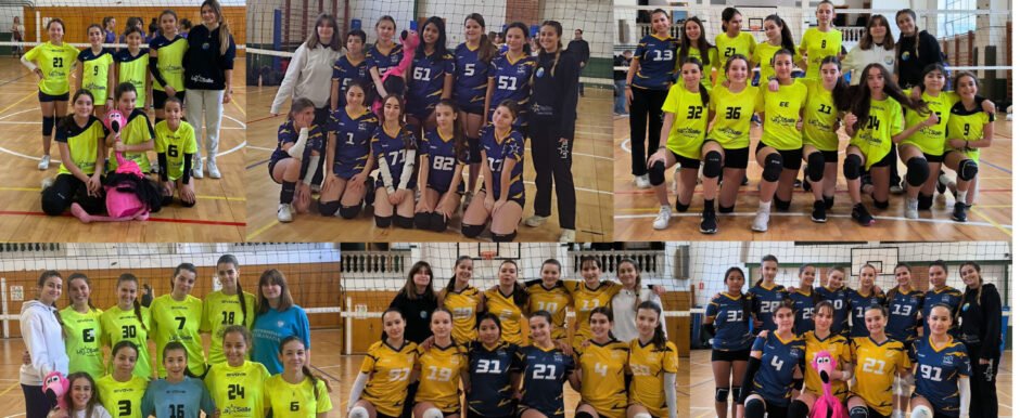 LA SALLE VOLEY